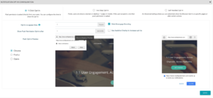 MoEngage omnichannel marketing tools. Dashboard showing Opt-In configuration.